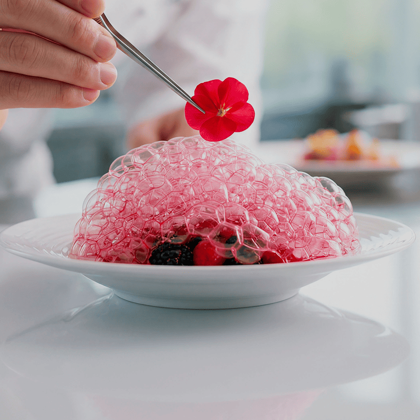 GASTRONOMY